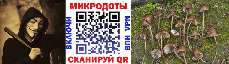 Галлюциногенные грибы ЛСД  магазин    Кунгур 
