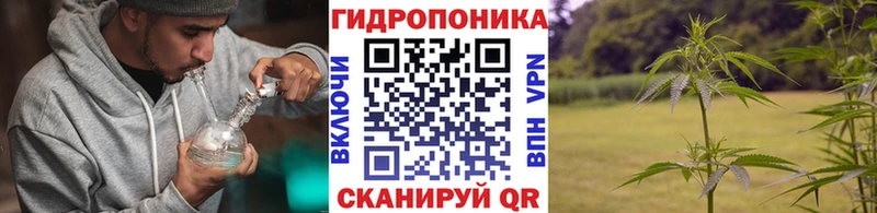Бошки марихуана AK-47 Кунгур
